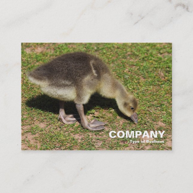 Carte De Visite Gosling (Devant)