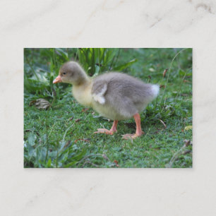 Carte De Visite Gosling