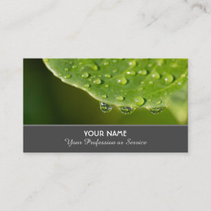 Carte De Visite Gouttes de pluie purifiées pour jardiniers et fleu