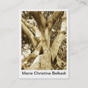Carte De Visite Grande photographie de sépia de tronc d'arbre pou