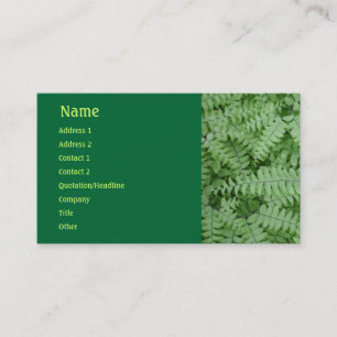 Carte de visite Green Fern