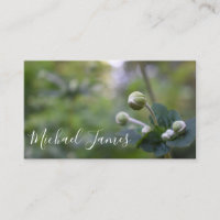 Green Flower Bud Jardin Nature Photographie Floral