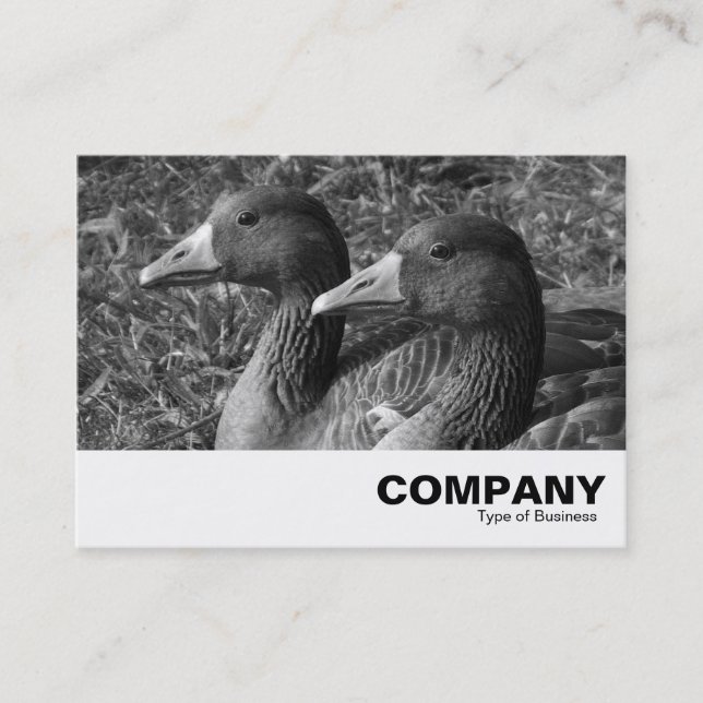 Carte De Visite Grey Geese B&W (Devant)