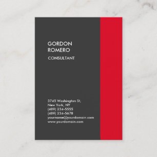 Carte De Visite Gris Vertical Rouge Bande Élégante Plaque Moderne