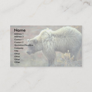 Carte De Visite Grizzly Bear