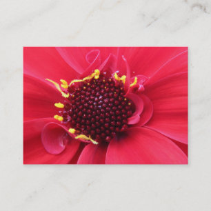 Carte De Visite Gros plan de Red Dahlia