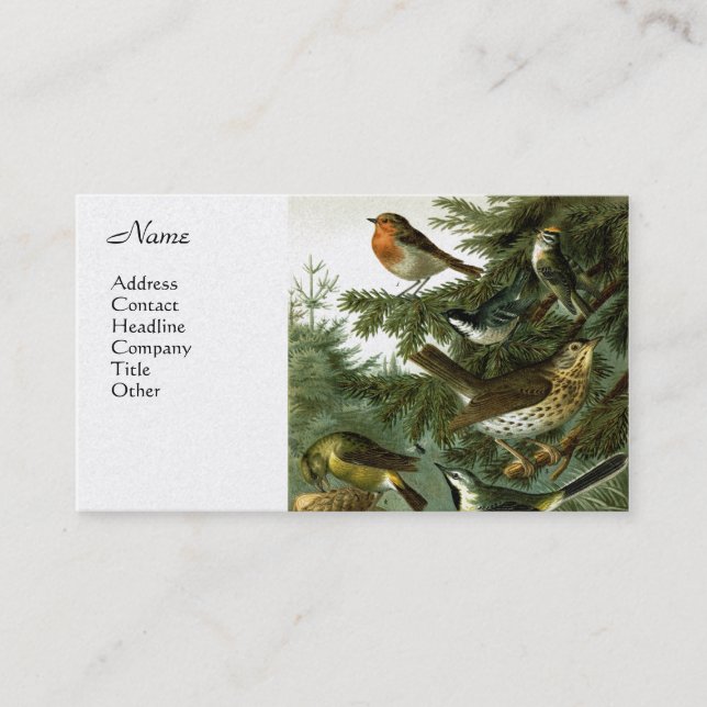 Carte De Visite Groupe 3 d'oiseau (Devant)