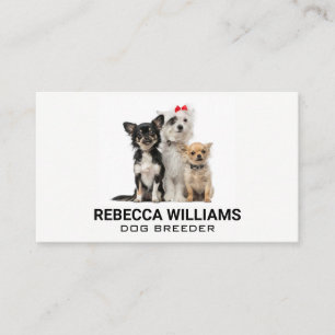 Carte De Visite Groupe de chiens Services animaux