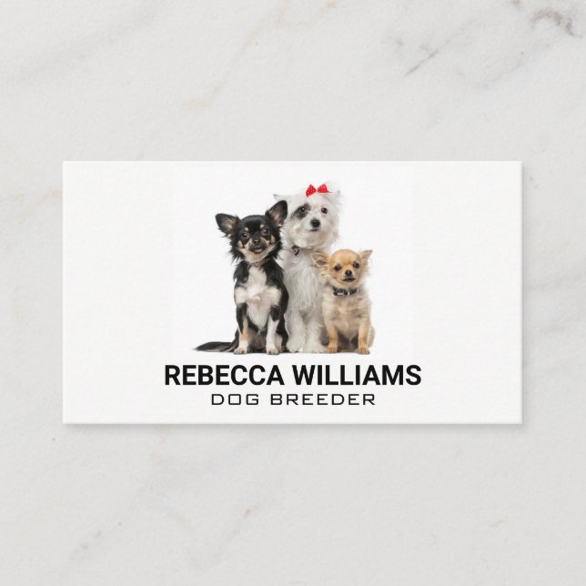 Carte De Visite Groupe de chiens | Services animaux (Devant)