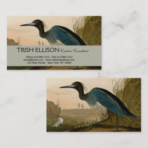 Carte De Visite Grue Bleue Heron Audubon Peinture