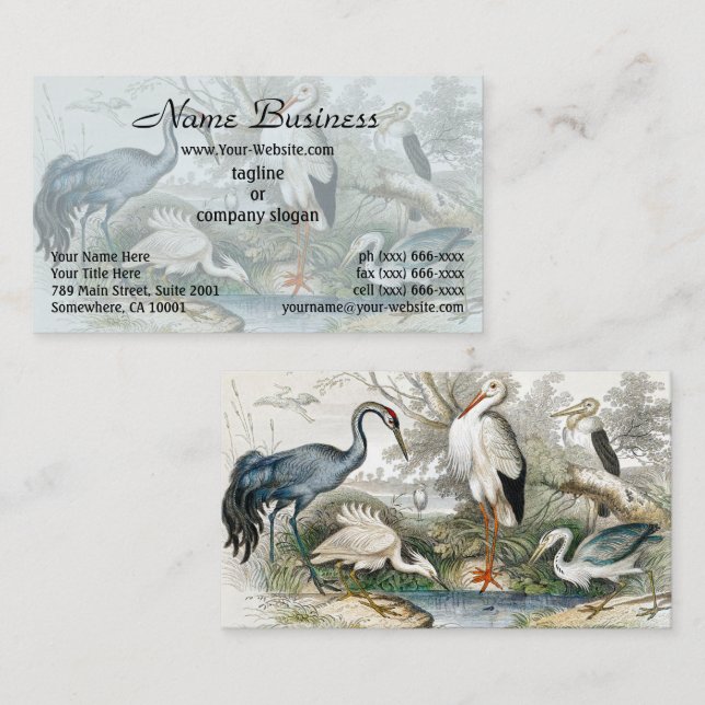 Carte De Visite Grue, cigogne blanche, héron, petit aigle et arbre (Devant / Derrière)