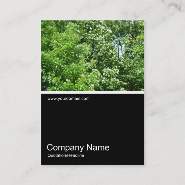 Carte De Visite Half&Half Photo 0160 - Summer Breeze (Devant)