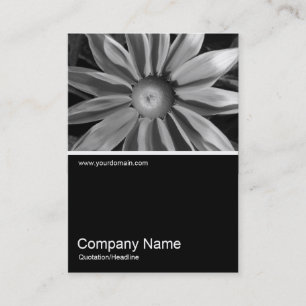 Carte De Visite Half&Half photo 016 - Prairie Sun Rudbeckia