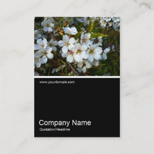 Carte De Visite Half&Half Photo 024 - Fleur de cerisier