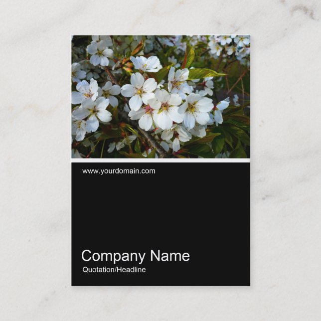 Carte De Visite Half&Half Photo 024 - Fleur de cerisier (Devant)