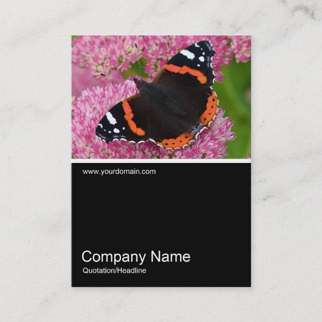 Carte De Visite Half&Half Photo 0261 - Amiral rouge sur Sedum (Aut (Devant)