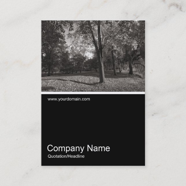 Carte De Visite Half&Half Photo 0267 - Automne dans le parc (Devant)