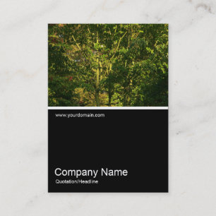 Carte De Visite Half&Half Photo 0288 - Branches japonaises 05