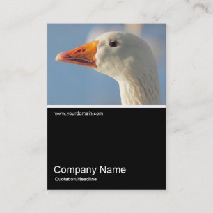 Carte De Visite Half&Half Photo 0309 - Oie blanche coquine