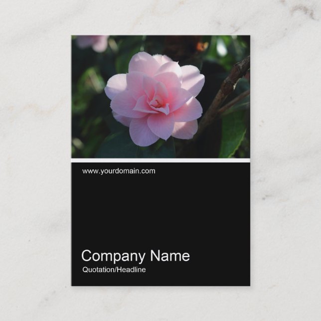 Carte De Visite Half&Half Photo 0311 - Camellia rose (Devant)