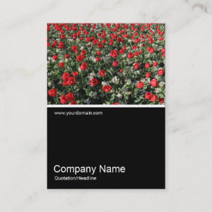 Carte De Visite Half&Half Photo 0316 - Tulipes rouges et Primroses
