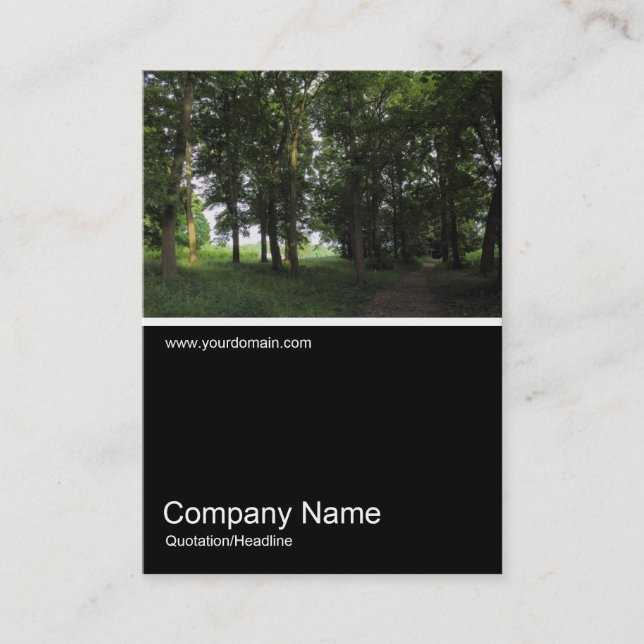 Carte De Visite Half&Half Photo 0356 - Woods, Bute Park, Cardiff (Devant)