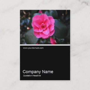Carte De Visite Half&Half Photo 0361 - Camellia rose