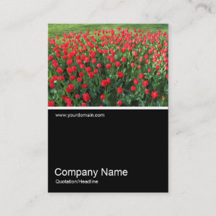 Carte De Visite Half&Half Photo 0381 - Lit des Tulipes Rouges 01
