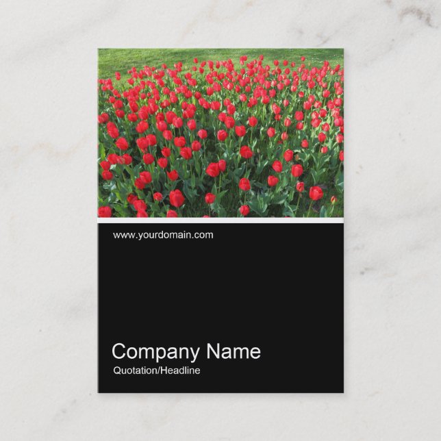 Carte De Visite Half&Half Photo 0381 - Lit des Tulipes Rouges 01 (Devant)