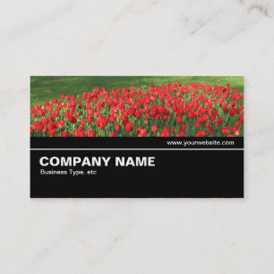 Carte De Visite Halfway V2 035 - Lit de Rouges Tulipes 02