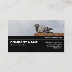 Carte De Visite Halfway V3 041 - Good Morning Pigeon