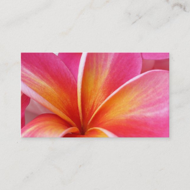 Carte De Visite Hawaïen rose de fleur d'Hawaï de Frangipani de (Devant)