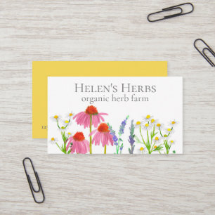 Carte De Visite Herbe Ferme Echinacea médicinal culinaire