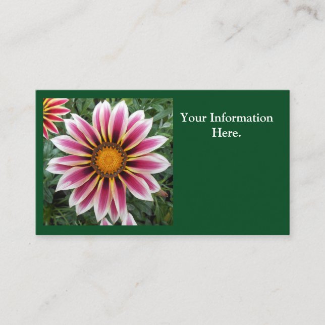 Carte De Visite Hereford (Devant)