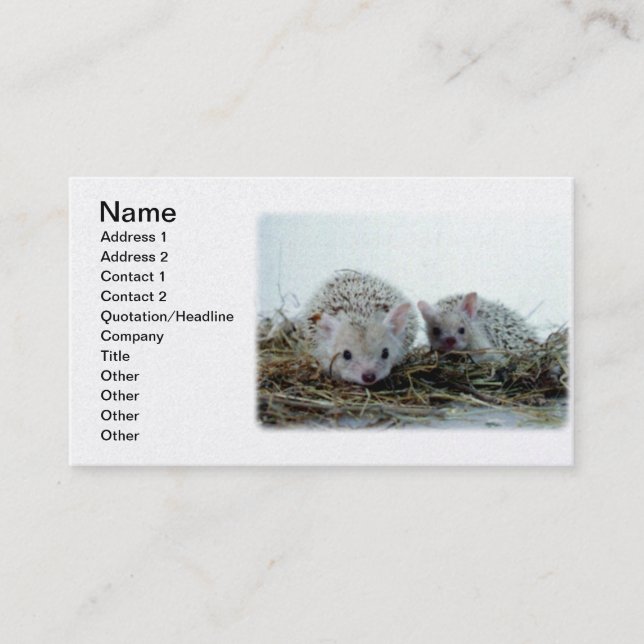 Carte De Visite Hérissons comme animaux familiers (Devant)