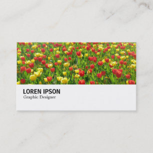 Carte De Visite Hi-Phi - 0188 - Mer des Tulipes II