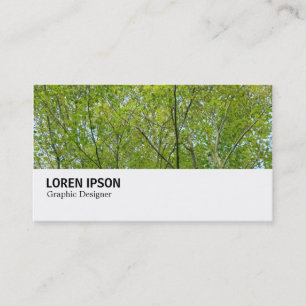 Carte De Visite Hi-Phi - 0248 - Érable japonais