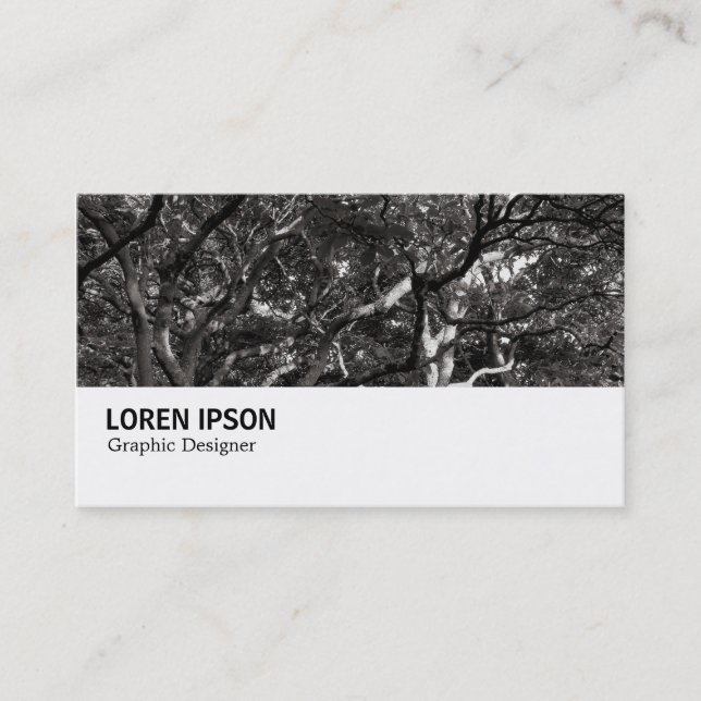 Carte De Visite Hi-Phi - 0266 - Branches japonaises 03 (Devant)