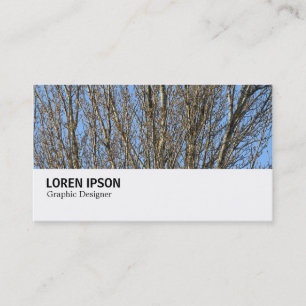 Carte De Visite Hi-Phi - 0276 - Branches ensoleillées