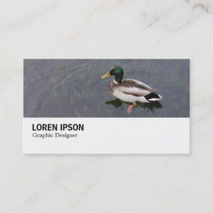 Carte De Visite Hi-Phi - 0282 - Canard colvert