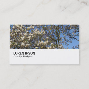 Carte De Visite Hi-Phi - 0290 - Magnolia Tree in Blossom