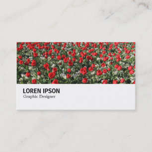 Carte De Visite Hi-Phi - 0292 - Tulipes rouges et Primroses