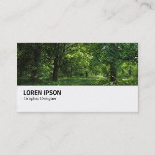 Carte De Visite Hi-Phi - 0297 - Printemps dans les Bois 01
