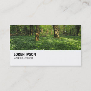 Carte De Visite Hi-Phi - 0347 - Printemps dans les bois