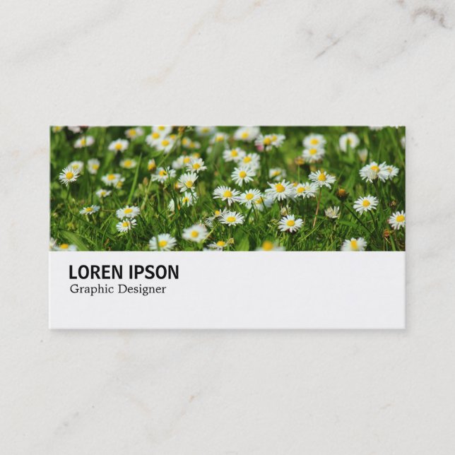 Carte De Visite Hi-Phi - 0388 - Daisy Meadow (Devant)