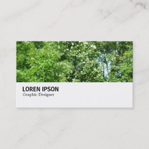 Carte De Visite Hi-Phi - 080 - Summer Breeze