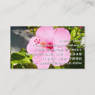 Carte De Visite Hibiscus rose Fleur tropicale