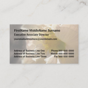 Carte De Visite Hibiscus rose sur Sepia