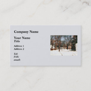 Carte De Visite Hiver dans ma rue
