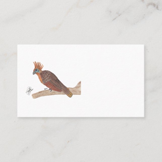 CARTE DE VISITE HOATZIN (Devant)